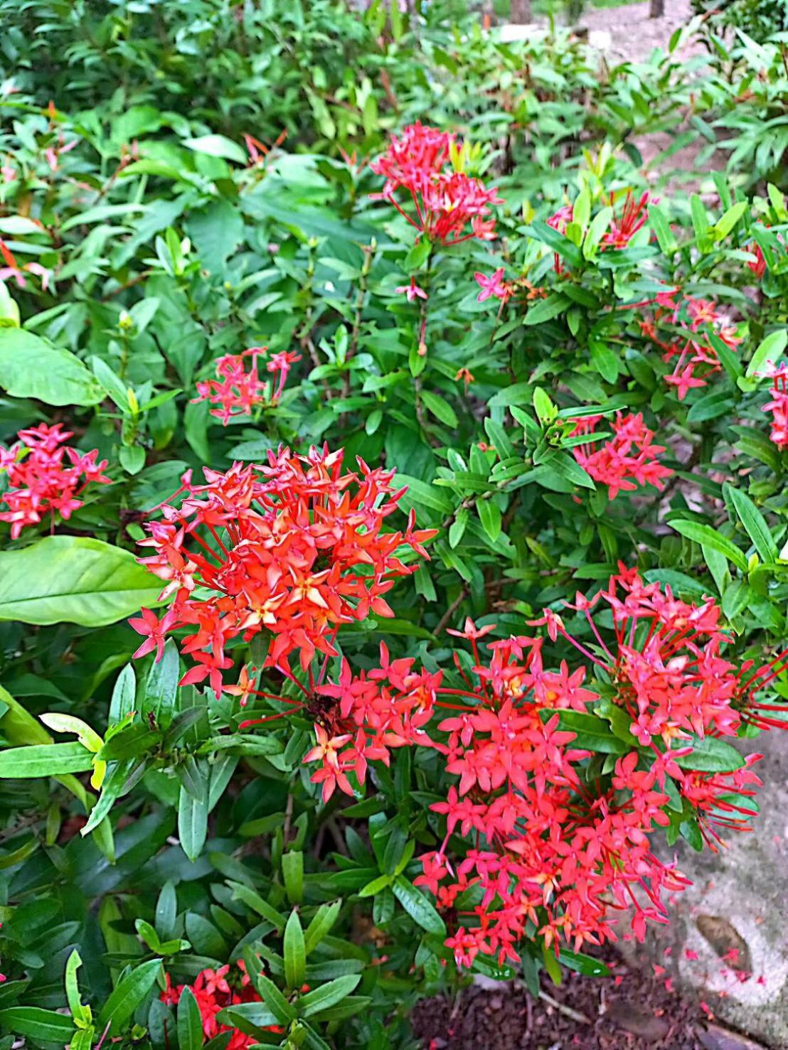 Lanta Maikeaw Bungalow 란타섬 외부 사진