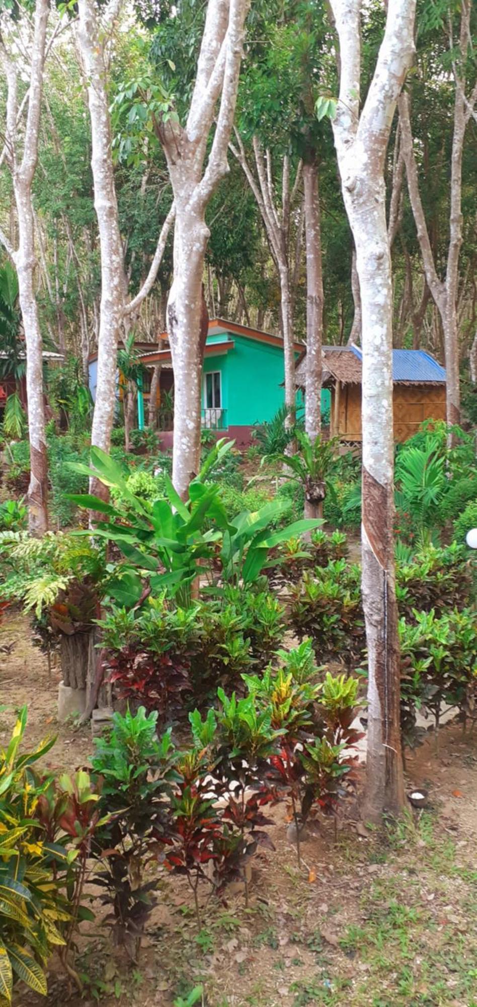 Lanta Maikeaw Bungalow 란타섬 외부 사진
